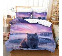 WXLWHR British Shorthair Cat Duvet Cover Set 3D Frozen Lake Pattern Bedding Set Soft Polyester Duvet Cover with Hidden Zipper & Pillowcase for Kids Boys Teens Super King（260x220cm）