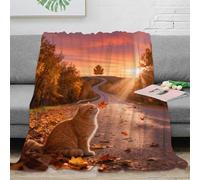 WXLWHR British Shorthair Cat Fleece Throw Blanket for Couch Sofa Bed All Season Highway Woods Print Blanket Fluffy Soft Cozy Flannel Presents for Couple Wife Husband 60x80inch(150x200cm)
