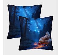 WXLWHR Chicken Cushion Cover Set of 2, Premium Polyester Throw Pillow Cover with Hidden Zipper, Premium Square Pillow Cases, for Living Room Bedroom Sofa Chair 40x40cm