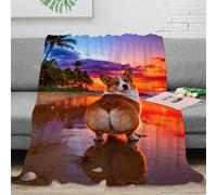 WXLWHR Corgi Fleece Throw Blanket for Couch Sofa Bed All Season Sunset Beach Print Blanket Fluffy Soft Cozy Flannel Gifts for Kids Teens Adults 40x50inch(100x130cm)