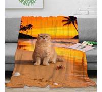WXLWHR Cute Cat Fleece Throw Blanket for Couch Sofa Bed All Season Sunset Beach Print Blanket Fluffy Soft Cozy Flannel for Boys Girls 50x60inch(127x152cm)