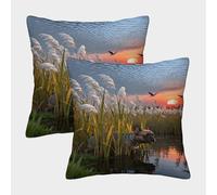 WXLWHR French Bulldog Cushion Covers Set of 2, Throw Pillow Covers Soft Polyester Decorative Pillow Cases, for Armchair Garden Sofa Patio 45x45cm