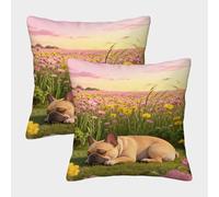 WXLWHR French Bulldog Cushion Covers Set of 2, Throw Pillow Covers Soft Polyester Decorative Throw Pillow Cases, for Sofa Bed Indoor Outdoor 50x50cm