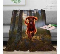 WXLWHR Irish Setter Fleece Throw Blanket, Super Soft & Cosy Flannel, Spruce Forest Throw, for Bed And Sofa Gifts for Her Or Him 50x60inch(127x152cm)