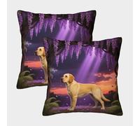 WXLWHR Labrador Retriever Cushion Covers Set of 2, Premium Polyester Throw Pillow Covers with Hidden Zipper, Square Decorative Pillow Cases, for Couch Sofa Bed Living Room Bedroom 45x45cm