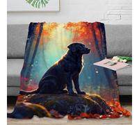 WXLWHR Labrador Retriever Fleece Throw Blanket for Couch Sofa Bed All Season Autumn Woods Print Blanket Fluffy Soft Cozy Flannel for Wedding Anniversary 40x50inch(100x130cm)