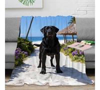WXLWHR Labrador Retriever Fleece Throw Blanket for Couch Sofa Bed All Season Beach Plants Print Blanket Fluffy Soft Cozy Flannel Gifts for Girls Kids Adults 40x50inch(100x130cm)