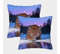 WXLWHR Lynx Cushion Cover Set of 2, Premium Polyester Couch Pillow Covers with Hidden Zipper, Square Decorative Pillow Cases, for Living Room Bedroom Sofa Chair 50x50cm