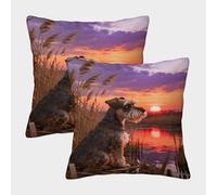 WXLWHR Miniature Schnauzer Cushion Covers Set of 2, Throw Pillow Covers Soft Polyester Decorative Throw Pillow Cases, for Sofa Armchair Balcony Outdoor Area 50x50cm