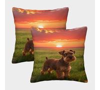 WXLWHR Miniature Schnauzer Cushion Covers Set of 2, Throw Pillow Covers Soft Polyester Decorative Throw Pillow Cases, for Living Room Bedroom Bed Armchair 45x45cm