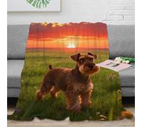 WXLWHR Miniature Schnauzer Fleece Throw Blanket, Super Soft & Cosy Flannel, Sunset Grassland Blanket, for Bed And Sofa Gifts For Women/Men 80x90inch(200x230cm)