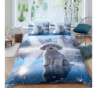 WXLWHR Poodle Duvet Cover Set 3D Frozen Lake Pattern Bedding Set Soft Microfiber Quilt Cover with Zipper & Pillowcase for Kids Adults Double（200x200cm）