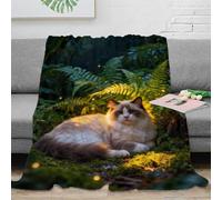 WXLWHR Ragdoll Cat Fleece Throw Blanket for Couch Sofa Bed All Season Ferns Print Blanket Fluffy Soft Cozy Flannel Presents for Couple Wife Husband 60x80inch(150x200cm)