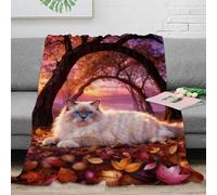 WXLWHR Ragdoll Cat Fleece Throw Blanket for Couch Sofa Bed All Season Maple Leaves Print Blanket Fluffy Soft Cozy Flannel Gifts for Her Or Him 50x60inch(127x152cm)