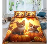 WXLWHR Two Foxes Duvet Cover Set 3D Pumpkin Print Bedding Set Soft Polyester Duvet Cover with Zipper & Pillow Cases for Kids Adults King(220x240cm)