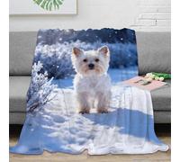 WXLWHR Yorkshire Terrier Fleece Throw Blanket for Couch Sofa Bed All Season Snowfield Print Blanket Fluffy Soft Cozy Flannel Creative Gift for Women Girls Birthday 50x60inch(127x152cm)