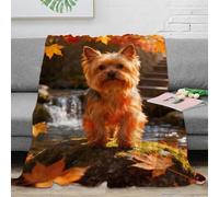 WXLWHR Yorkshire Terrier Fleece Throw Blanket for Sofa Couch Bed All Season Maple Leaves Pattern Blanket Fluffy Soft Warm Flannel Gifts for Wedding Anniversary 40x50inch(100x130cm)