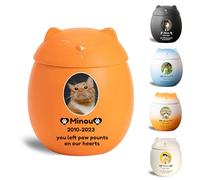 WXMYOZR Personalized Cat-Shaped Small Urn for Ashes, Custom Ceramic Decorative Mini Memorial Ashes Keepsake Cremation Urn for Pet Cat Ashes,Orange,Big