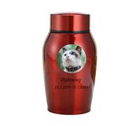 WXMYOZR Pet Urns for Cats Ashes, Personalized Cat Urns for Ashes Stainless Steel Custom Cat Cremation Urns Cat Memorial Keepsake Urns,Red