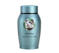 WXMYOZR Pet Urns for Cats Ashes, Personalized Cat Urns for Ashes Stainless Steel Custom Cat Cremation Urns Cat Memorial Keepsake Urns,Blue