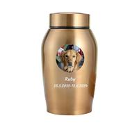 WXMYOZR Pet Urns for Dogs Ashes, Personalized Dog Urns for Ashes Stainless Steel Custom Dog Cremation Urns Dog Memorial Keepsake Urns,Gold,Big