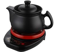 WXPXYBF 3.5L Ceramic Electric Kettle, Automatic Herbal Medicine Cooker with Hidden Heating Element, 500W Health Pot for Chinese Tea and Soup, Cordless Design