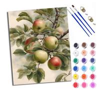 WXRWANG Paint by Numbers for Adults and Beginner Painting by Number Apple Still Life Oil Painting Without Frame Oil Paintings on Canvas House Wall Decor 16x20in