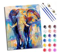 WXRWANG Paint by Numbers for Adults and Beginner Painting by Number Colorful Elephant Without Frame Oil Paintings on Canvas House Wall Decor 16x20in