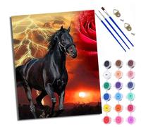 WXRWANG Paint by Numbers for Adults and Beginner Painting by Number Dark Horse and Thunder Rose Without Frame Oil Paintings on Canvas House Wall Decor 16x20in