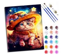 WXRWANG Paint by Numbers for Adults and Beginner Painting by Number Starry Sky Hat Cute Cat with Frame Oil Paintings on Canvas House Wall Decor 16x20in