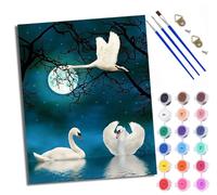 WXRWANG Paint by Numbers for Adults and Beginner Swan Lake at Moonlight Night Painting by Number Kits On Canvas Without Frame DIY Color Oil Painting Acrylic Paints Home Wall Decor 40x50cm/16x20in