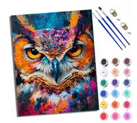 WXRWANG Paint by Numbers for Adults Pop Style owl Painting by Numbers for Adults DIY Canvas Kits Paint by Number Crafts Kits for Relax and De-Stress Gift Home Decoration 16x20 inch