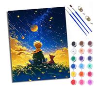 WXRWANG Paint by Numbers Kits for Adults Painting Kits for Beginners On Clear Symbols Colored Canvas The Little Prince and the Fox Easy Acrylic Pigment for Home Wall Decor 16x20in with Frame
