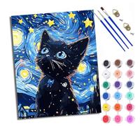 WXRWANG Paint by Numbers Kits for Adults Painting Kits for Beginners On Clear Symbols Colored Canvas Black Cat Under the Stars Easy Acrylic Pigment for Home Wall Decor 16x20in with Frame