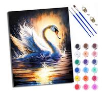 WXRWANG Paint by Numbers Kits for Adults Painting Kits for Beginners Symbols Colored Canvas Golden Swans Playing in the Water Acrylic Pigment Drawing Paintwork for Home Wall Decor 16x20in Frameless