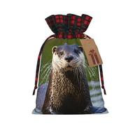 WXYBMDP Animal Cute Brown Otters Print Christmas Gifts Bag,Drawstring Bags,Reusable Candy Bags,for Wedding Party Christma
