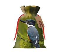 WXYBMDP Cute bird Print Christmas Drawstring Bags Xmas Candy Bags Reusable Party Gifts Wrapping Bags