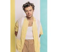 WXZRU 5D Diamond Painting Kits for Adults Harry Styles Diamond Art Paint with Diamonds DIY Painting Kit Paint by Numbers with Gem Art 30x40cm nM412
