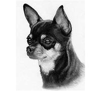 WXZRU Diamond Painting,Black and White Dog Chihuahua,5D Diamond Art Kits for Adults,Mosaic Crystal Craft Kits for Home Wall DecorJ490