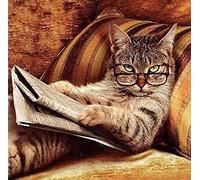 WXZRU DIY Handmade 5D Diamond Painting Kit Cat Reading Newspaper Full Drill Embroidery Picture Home Decoration Wall Art 30x40cm Kj349