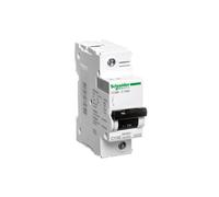 Wyłącznik nadprądowy 1P C 100A 10kA AC C120N A9N18358