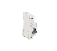 Wyłącznik nadprądowy 1P D 40A 6kA AC S301 TX3 403725