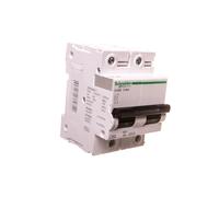Schneider Electric a9 N18361 magneto-thermic Switch C120 N, 2P, 80 A, Curve C