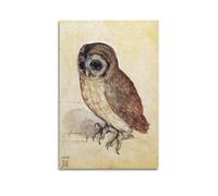 WYATAO Albrecht Dürer Artwork（the Little Owl） Decorative Poster Wall Art Painting Canvas Living Room Prints Bedroom Decor Artworks 08x12inch(20x30cm)