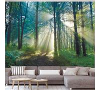 Wycian Natural Tapestry Wall Hanging Landscape Tapestry Large Dramatic Sky Tree Pine Microfiber Scenery Nature Stream 118X102 300X260cm (Width x Height)