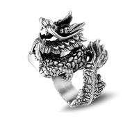 Wycian Promise Ring for Gf, Stainless Steel Vintage Rings for Women Silver Size T 1/2 26.9mm Vintage Punk Dragon Custom Gifts for Wife Mother'S Day