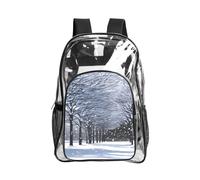 WYCZHY Snow Falling in The Park Printed Heavy Duty Clear Bookbag, Reinforced See Through Bag for Beach Outdoor Sports Travel