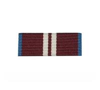 Wyedean Stores 32mm Queens Diamond Jubilee 2012 Medal Ribbon Slider