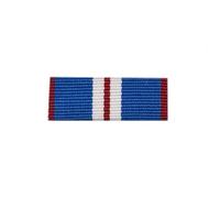 Wyedean Stores 32mm Queens Golden Jubilee 2002 Medal Ribbon Slider