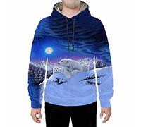 Wyhaoyun Polar bear animal 3D digital printing men's and women's loose hooded sweatshirt hoodie-XXL